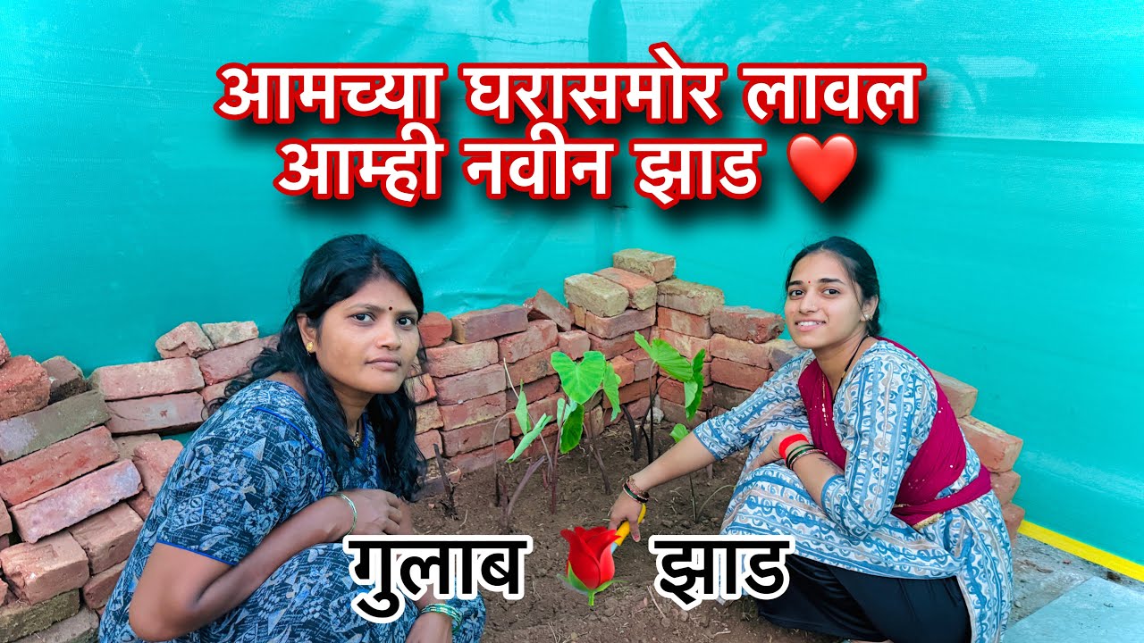 आमच्या घरासमोर लावल आम्ही नवीन झाड ❤️|| गुलाब झाड 🌳green tree 🌲 || ऋतू वहिनी पहिले शेतात काम करायची