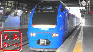 【ハマナス色 瑠璃色 特急いなほ】秋田駅にて JR東日本E653系電車