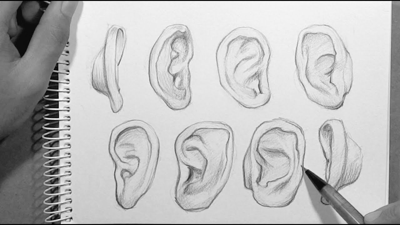 ep04 drawing ear from different angles time lapse youtube