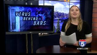 ACLU of Oregon fights for prison safety