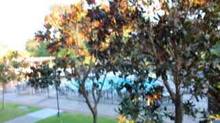 Monterey Hyatt Hotel video room review in California