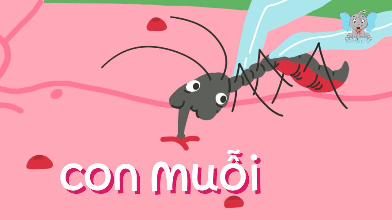 Con Muỗi | Thế Giới Động Vật | Giải Đáp Thắc Mắc Cùng Voi TV | Tập 6 ...