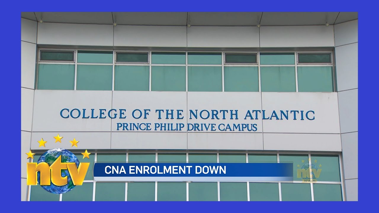 В Североатлантическом колледже наблюдается снижение числа иностранных студентов