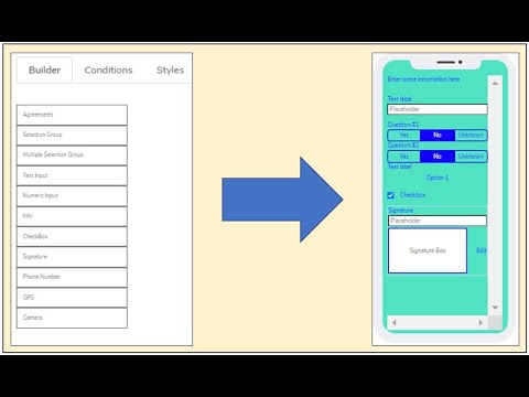 Care Steps Form Builder in Action