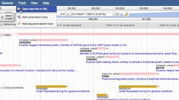 SGD Help: Downloading and Uploading JBrowse Data Tracks