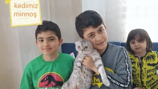 Kedimiz Minnoşu Tanıttık