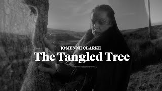Josienne Clarke - The Tangled Tree (Official Video)