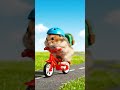Training Tiny Racers for Hamster Bicycle Grand Prix