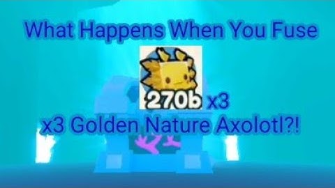 WHAT HAPPENS WHEN YOU FUSE x3 Golden Nature Axolotl?! | Pet Simulator X