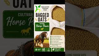 Oats Available #agriculture #animalfeeds #horse #farming #animallife