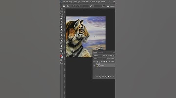 Chỉnh kích thước ảnh trong photoshop, cách tăng kích thước ảnh