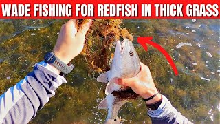 Wade Fishing Redfish Schools In Thick Grass [Fishing Report]
