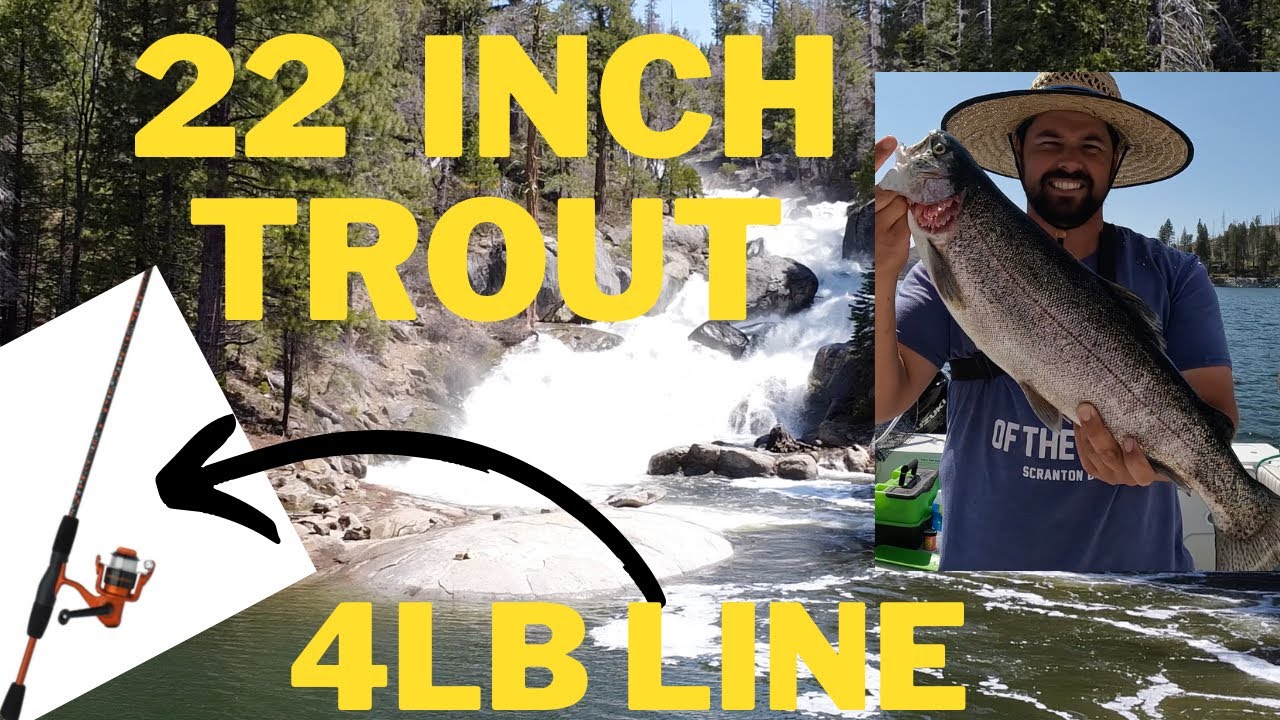 Shaver Lake Fishing for Big Rainbow Trout! YouTube