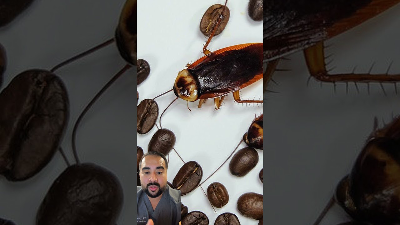 Allergic to coffee?! Medicine explained 