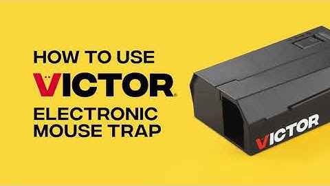 How to Use the Victor Electronic Mouse Trap | M250B