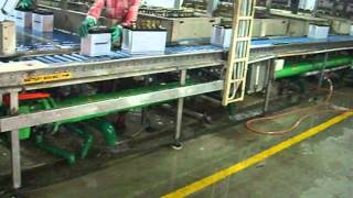 Modular Belt Conveyors by SuperNitin78 73 views 8 years ago 1 minute, 8 seconds