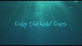 Miniatura de "Dispatch - "Only The Wild Ones" [Official Music Video]"