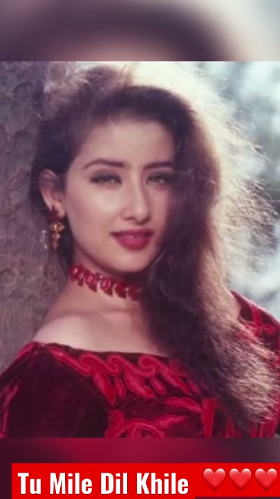 Tu Mile Dil Khile|Criminal Movie 🍿 |Nagarjuna ❤️ Monisha Koirala|Kumar Sanu|4K Video|90s Hits