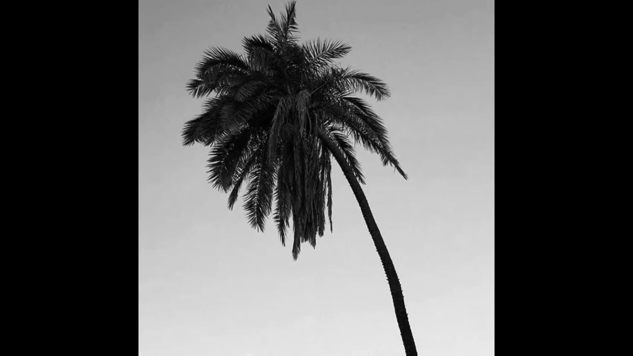 (FREE) Macan x Xcho x Miyagi x Mr Lambo Type Beat - “touch”