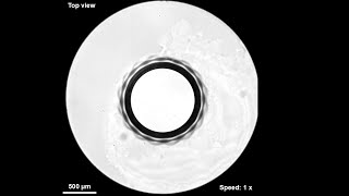 V-047: Electrohydrodynamics of unpinned liquid bridges