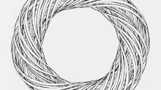 Separation torus. Draw by openFrameworks