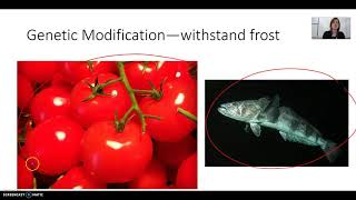 Artificial Selection and Genetic Modification