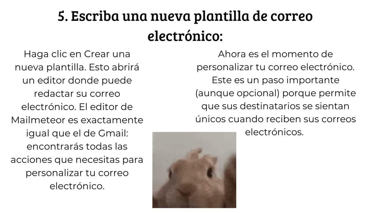 ¿Que es Mailmeteor? ¿como se usa?