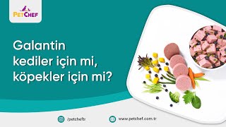 Galanti̇n Kedi̇ler İçi̇n Mi̇, Köpekler İçi̇n Mi̇?