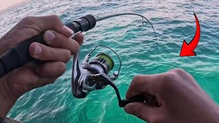 I Caught The Most INCREDIBLE Fish Ever! From Busselton Jetty!