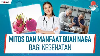 Mitos, Buah Naga Dapat Meningkatkan Nafsu Makan | Ternyata Ada Obatnya