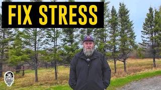 Chronic Stress Nearly Broke Me Until I Started Doing This!