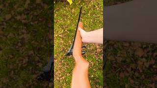 Bsa Meteor Cadet Aperture Sight