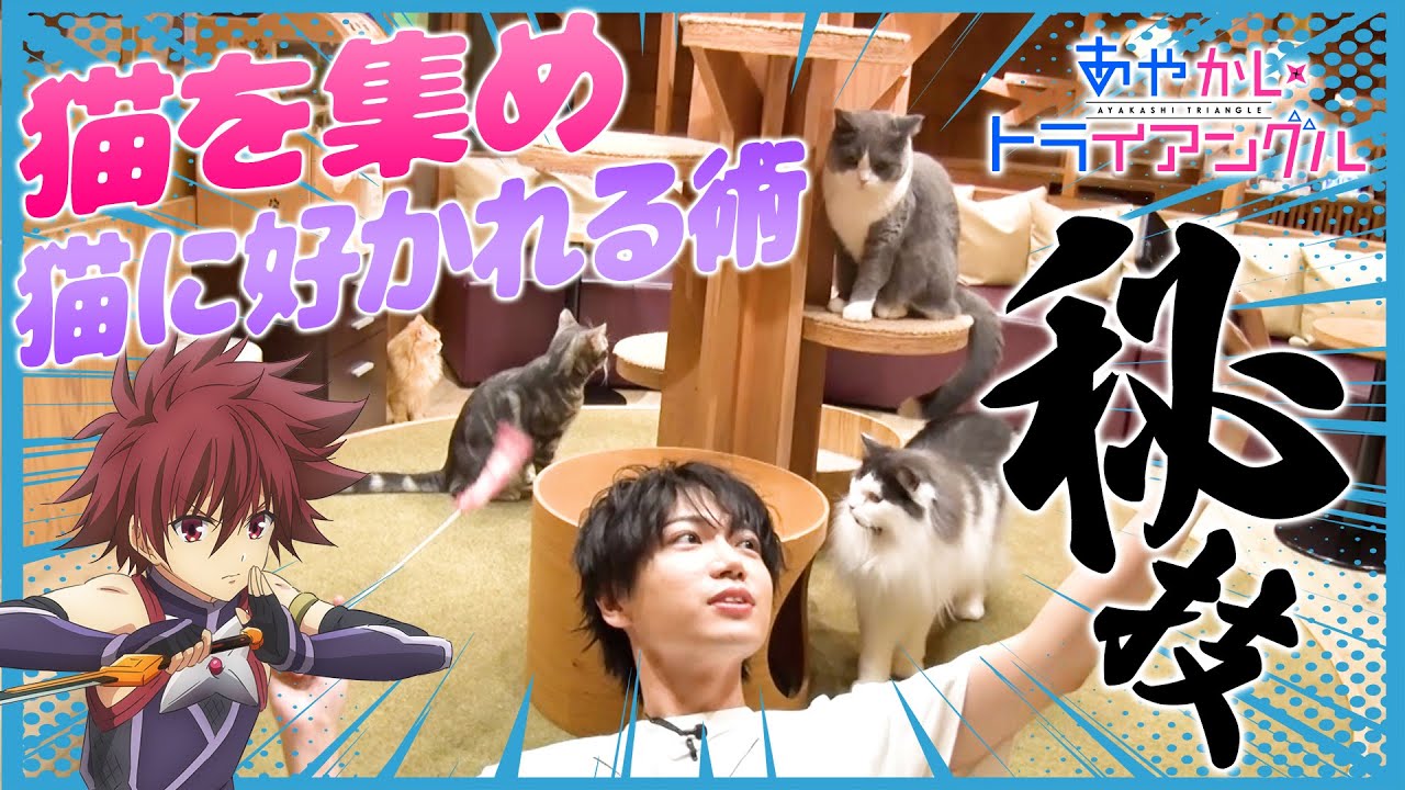 TVアニメ「あやかしトライアングル」連動企画『シロガネを探せプロジェクト！』第2弾 #02