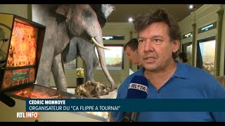 Tournai : 66 flippers ont été répartis dans la ville pour les visiteurs ce week-end du 15 aout 2022