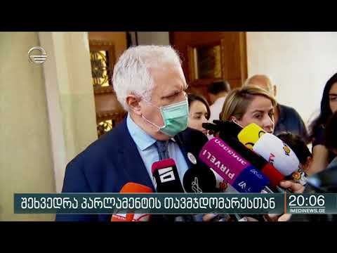 კონსტიტუციური პროექტის განხილვა იწყება - ელჩების განცხადებები