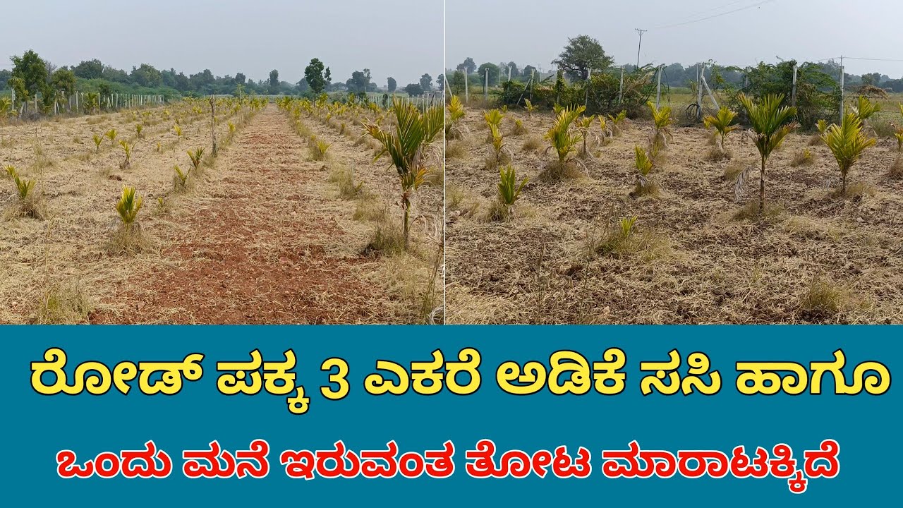 General Property & Agriculture Land for Sale Near Town | Challakere Taluk | Chitradurga District |