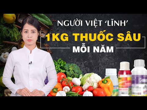 Video Người Việt mất tỷ $ nhập hoá chất độc hại Trung Quốc... - youtube