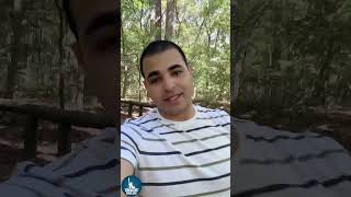 الفرق الواضح بين  forest jungle woods