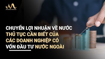CHUYỂN LỢI NHUẬN VỀ NƯỚC | THỦ TỤC CẦN BIẾT CỦA CÁC DOANH NGHIỆP CÓ VỐN ĐẦU TƯ NƯỚC NGOÀI