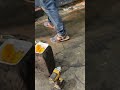 Se llaman Gucci