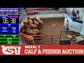 STAUNTON UNION STOCKYARD | Virginia Feeder &amp; Stocker Cattle Discovery Live | 5.1.26