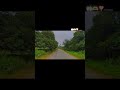 nature the road🌿🥹 #song