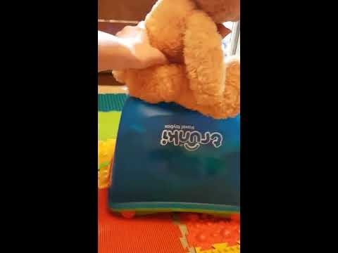 Trunki Toybox