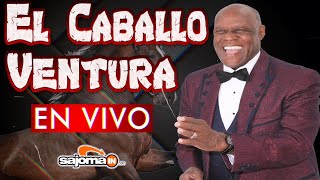 JOHNNY 'EL CABALLO' VENTURA EN VIVO #jhonnyventura #elcaballoventura #topmerengue