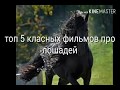 11# Топ 5 лучших фильмов про лошадей