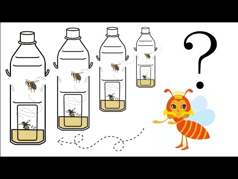 スズメバチトラップおすすめ6選！プロが実証した効果的な選び方