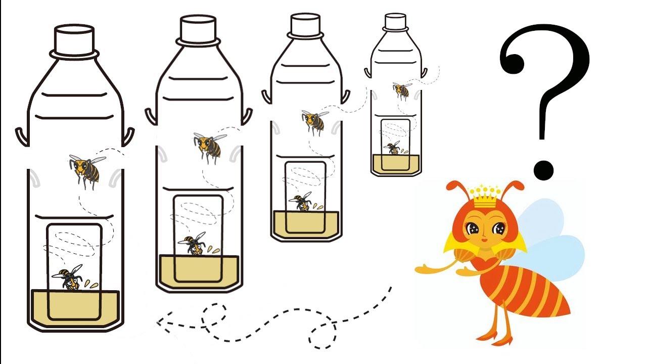 【嬢王蜂がくる前にやろう】スズメバチトラップ誘引剤４種類比較  | スズメ蜂駆除 スズメバチ捕獲器 キイロスズメバチ オオスズメバチ アシナガバチ