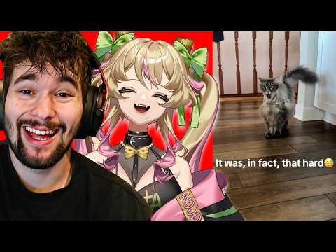 Pasta REACTS To My MOST LIKED TikToks!