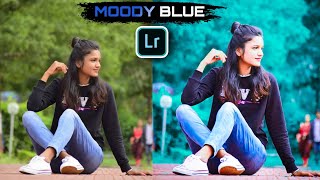 Moody Blue Preset Lightroom Mobile | blue photo editing screenshot 4