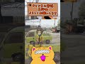 【的中】これぐらい朝飯前よw #shorts #ストグラ #ニャンコラス #絶叫 #断末魔 #真新サトシ #ゲーム実況